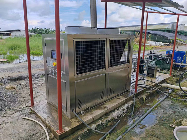 Quali fattori è necessario considerare quando si sceglie un produttore di refrigeratori d'acqua industriali